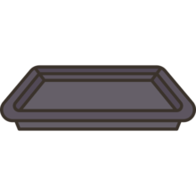 سینی