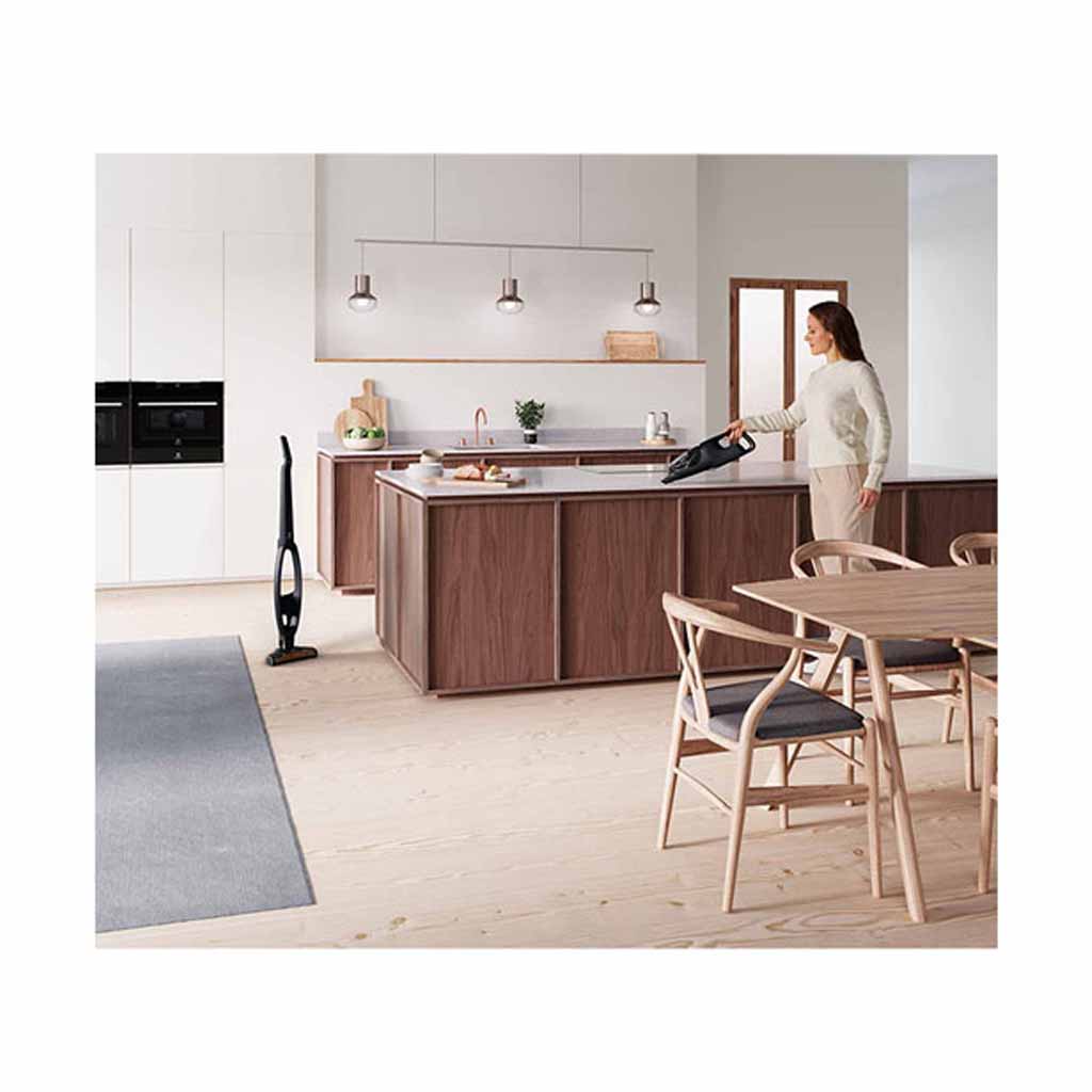 جاروشارژی الکترولوکس مدل WQ61-1OGG