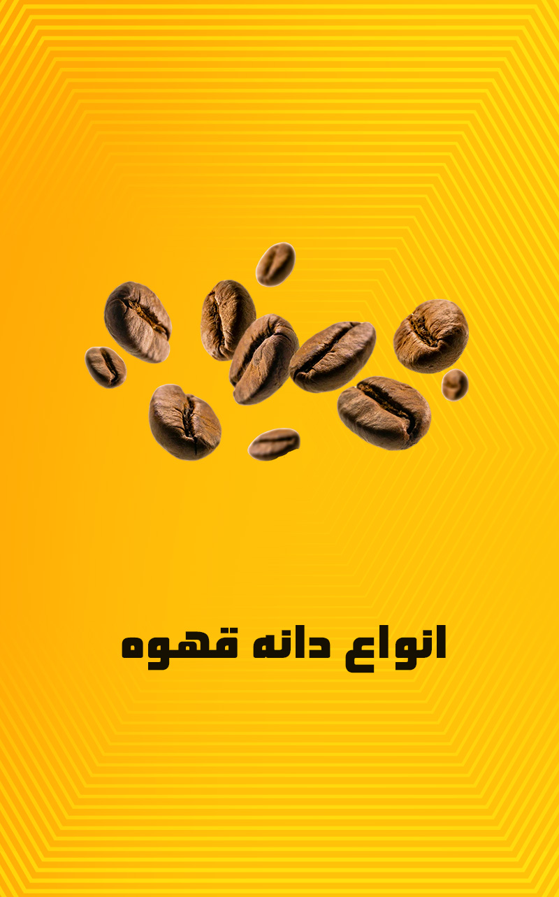 انواع دان قهوه