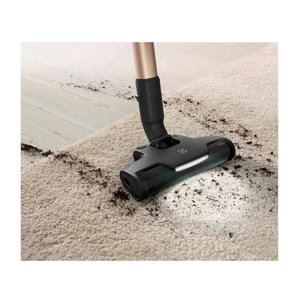 جارو شارژی الکترولوکس مدل EFP91824BR