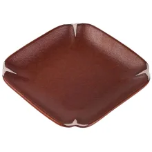تی پلیت مونتین ژاپنی چین چای