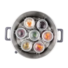 دیگ بخار سنکور مدل SPP 2200SS