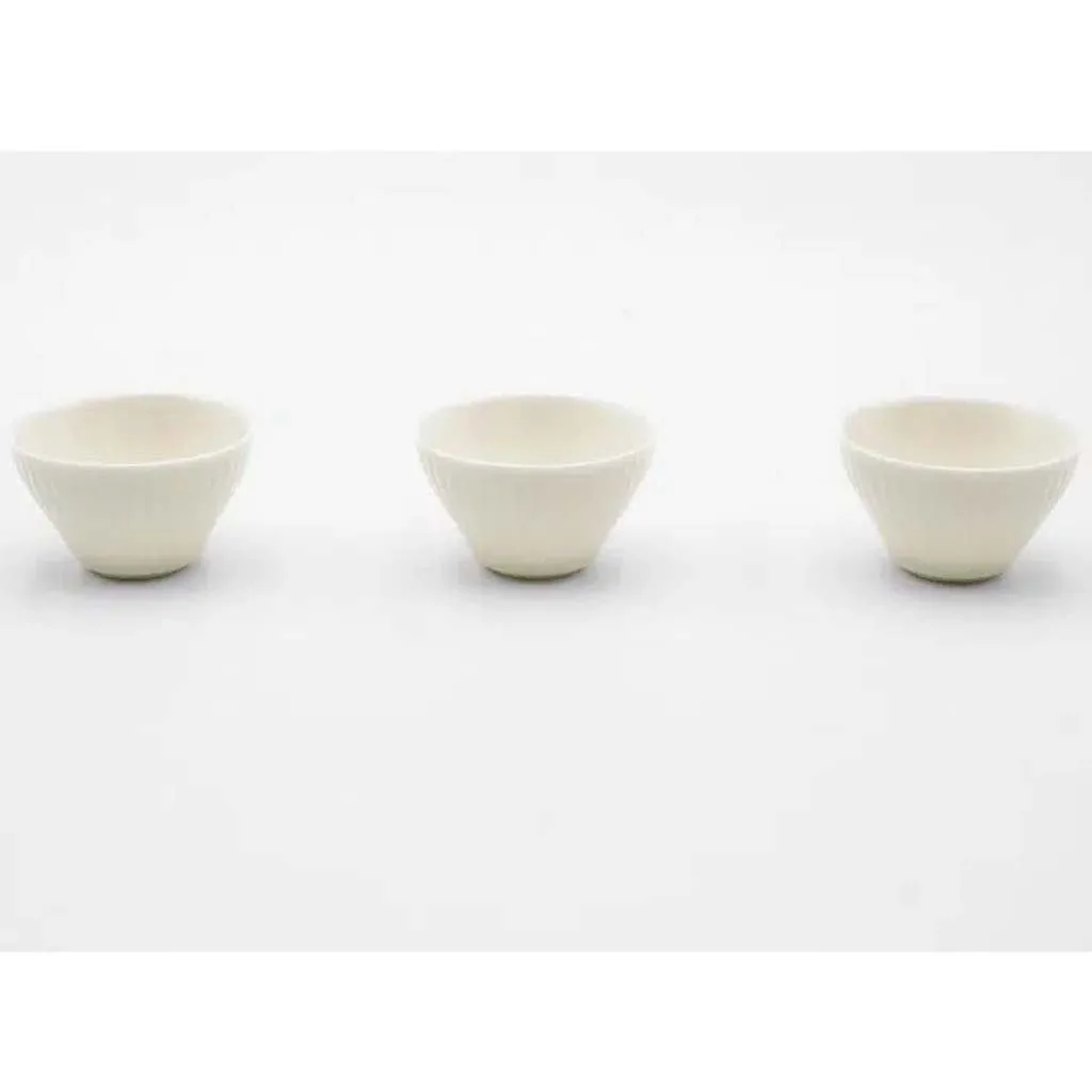 ست تی پات کیوسو ژاپنی مسافرتی چین چای