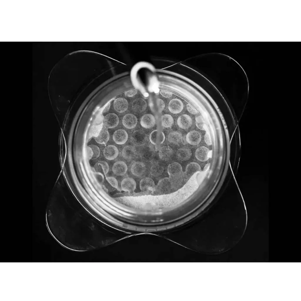 فیلتر کاغذی سیباریست Fast سری مخصوص Z1