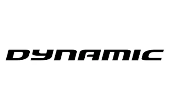 داینامیک | DYNAMIC